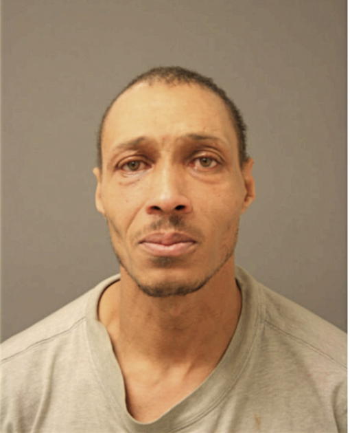 MICHAEL A MCNEIL, Cook County, Illinois