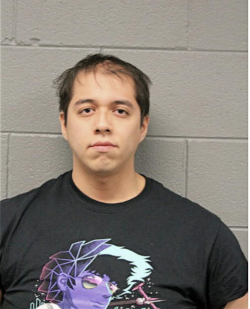 FRANCISCO PEDRO MESARINA, Cook County, Illinois
