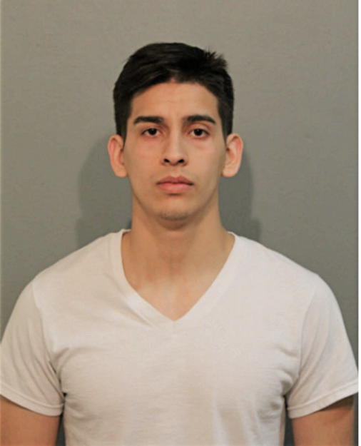 JOSHUA A OCAMPO, Cook County, Illinois