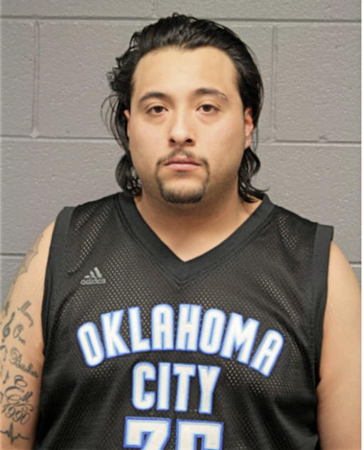 EDSON H REYNOSO, Cook County, Illinois