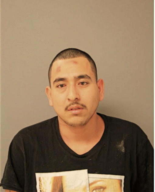 JOSE A RIOS, Cook County, Illinois