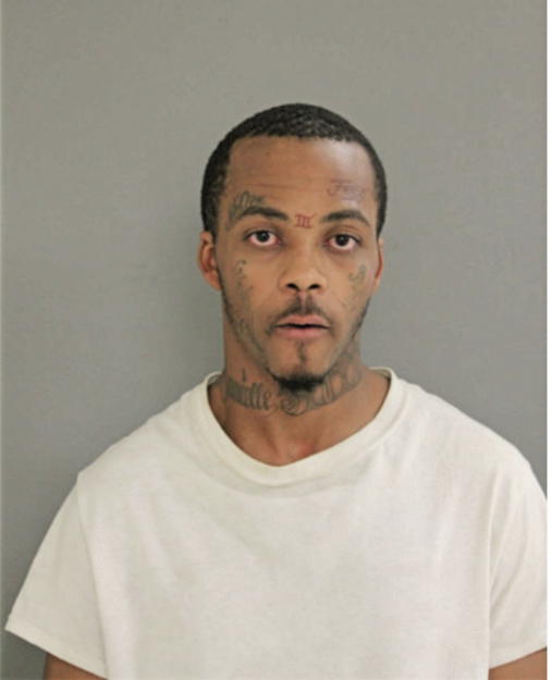 ALTON S BROWN, Cook County, Illinois
