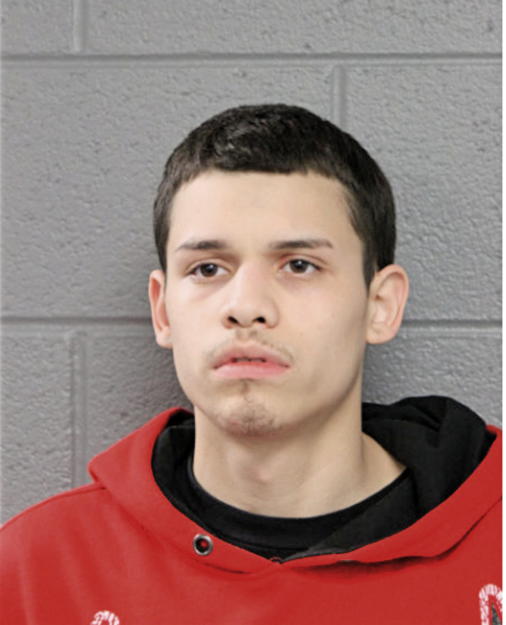 ADRIAN TREJO, Cook County, Illinois