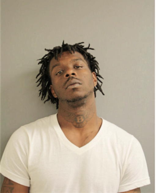 YANONG D WOODS, Cook County, Illinois