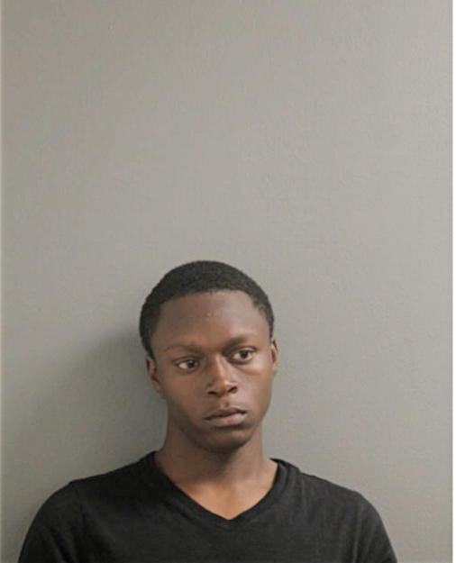 QUENTIN D BRINSON, Cook County, Illinois