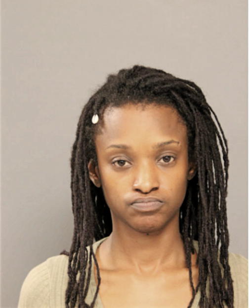 AMBER E BURKES, Cook County, Illinois