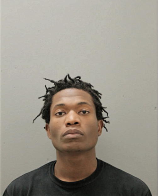 RYAN C BARNES, Cook County, Illinois