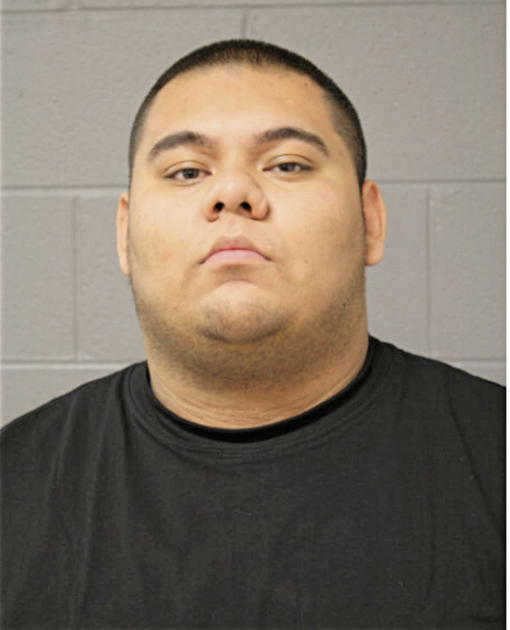 GABRIEL P CAMARENA, Cook County, Illinois
