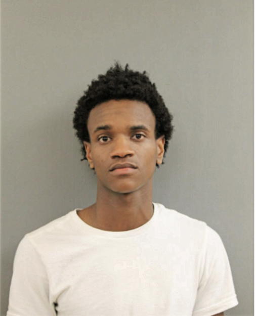 AMARLEY T COGGINS, Cook County, Illinois