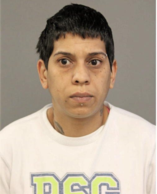 CARMEN J DAVILA, Cook County, Illinois