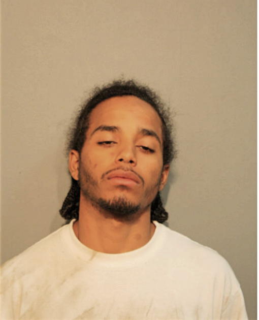 JAMIE H FOREMAN, Cook County, Illinois