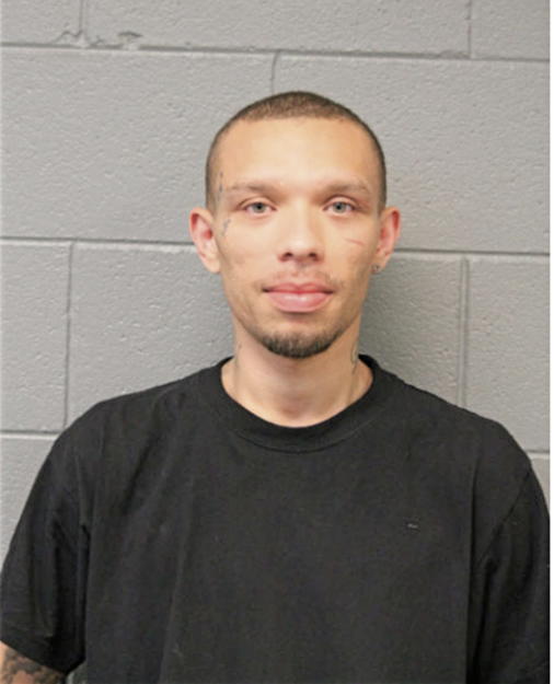 DAVID GONZALEZ, Cook County, Illinois