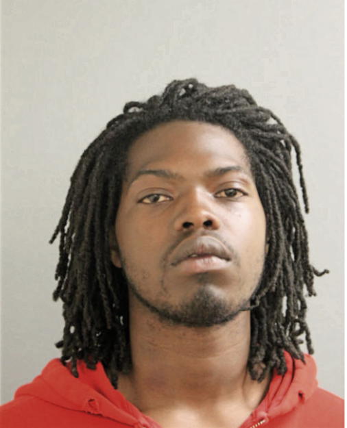 REGINALD L HOLMES, Cook County, Illinois