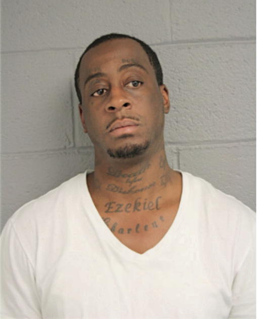 RONALD E JOHNSON, Cook County, Illinois