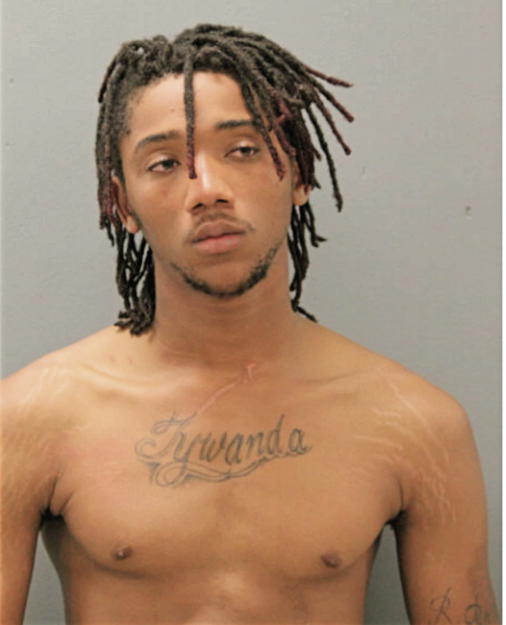 MATTHEW K JOHNSON, Cook County, Illinois