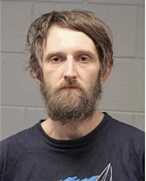 JOHN A LAIB, Cook County, Illinois