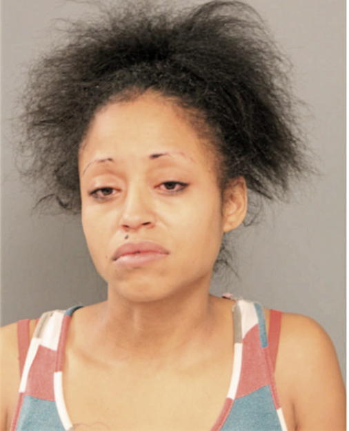 LISA M LEWIS, Cook County, Illinois