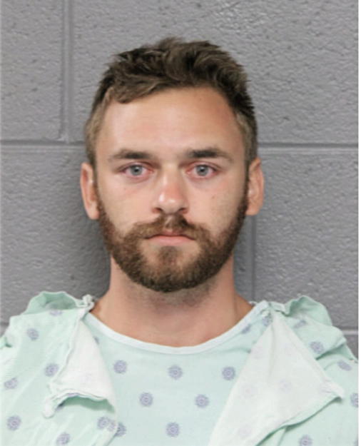 ALEXANDER J LYS, Cook County, Illinois