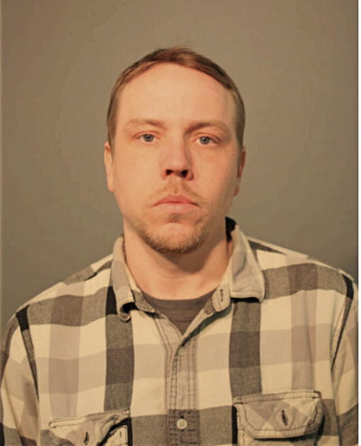 BRIAN M PALM, Cook County, Illinois