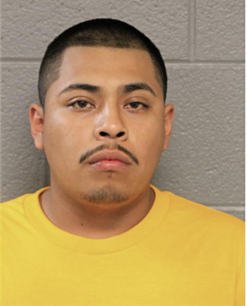 ERIC REYES, Cook County, Illinois