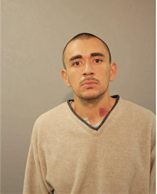 PABLO REYES, Cook County, Illinois