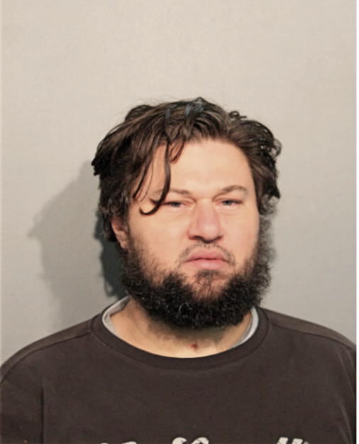 MATTHEW E ROGOFSKY, Cook County, Illinois