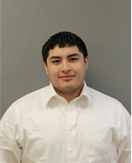 LUIS E ROMAN, Cook County, Illinois