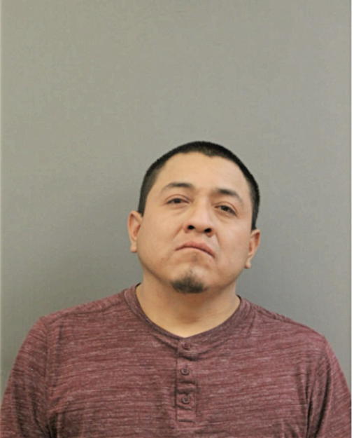 NOE RUBIO, Cook County, Illinois
