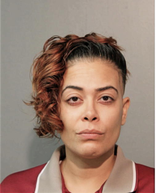 NILDA E RUIZ, Cook County, Illinois