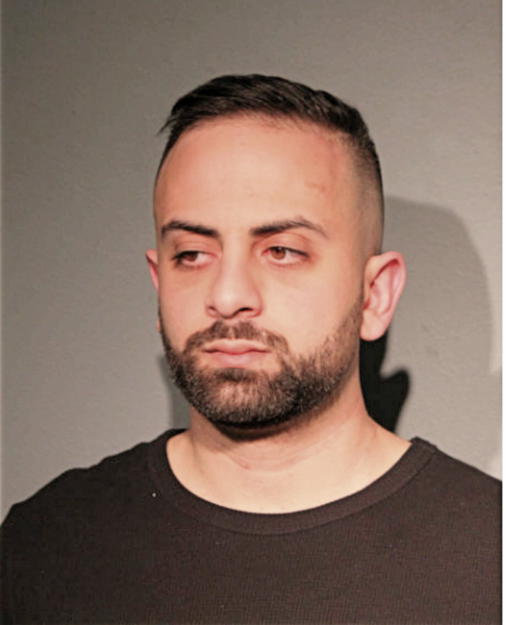 HAMID S SHADY, Cook County, Illinois