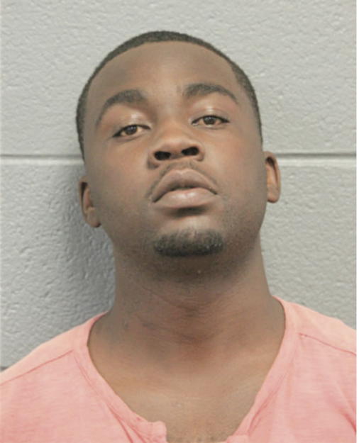 JOHN L SIMS, Cook County, Illinois