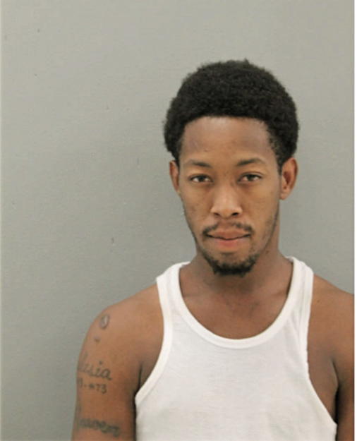 RODNEY J STRONG, Cook County, Illinois