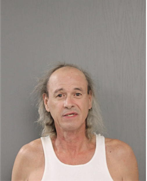 DAVID M BROOKS, Cook County, Illinois