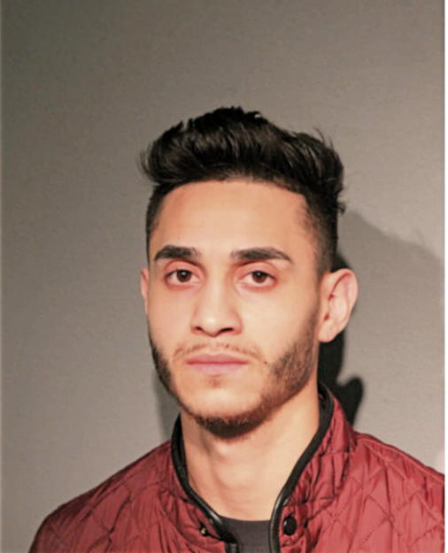 DOMINGO J CARRASQUILLO, Cook County, Illinois