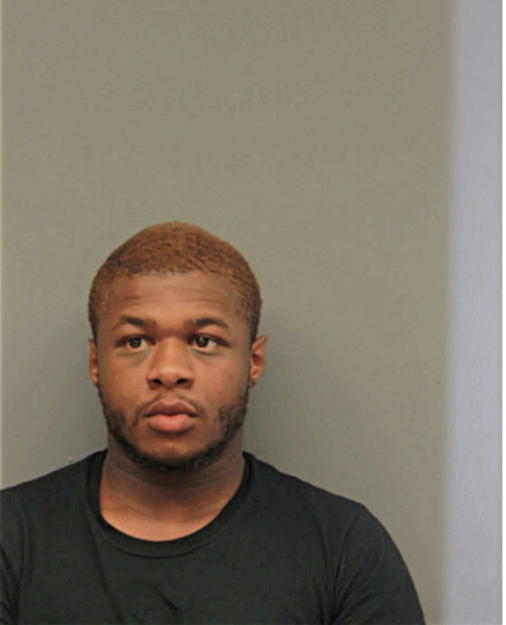DAVONTI L COOK, Cook County, Illinois