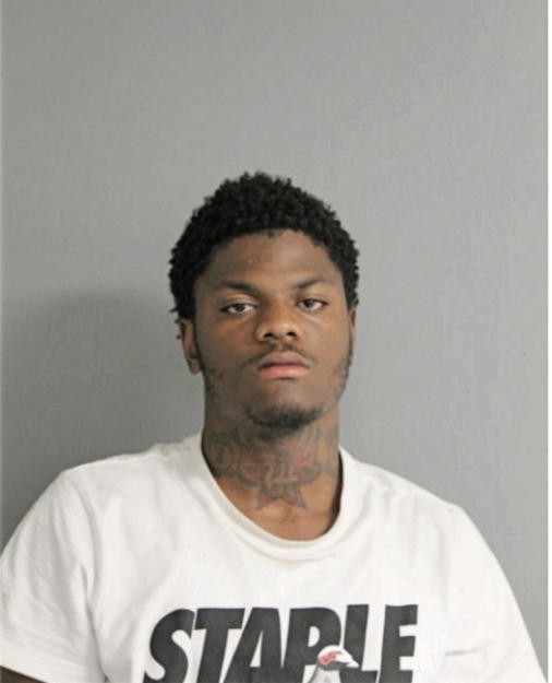 DAVID P DAVIS, Cook County, Illinois