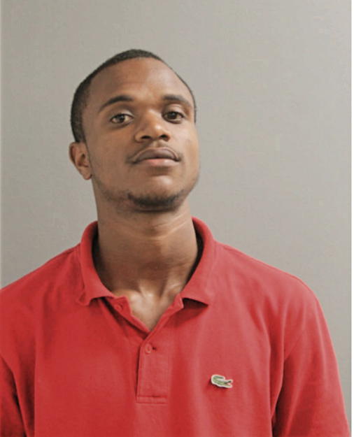 CALVIN T DORDEN, Cook County, Illinois
