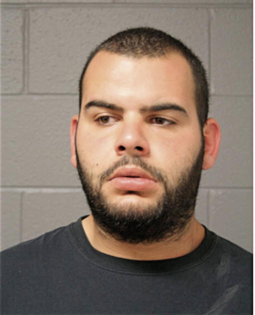 MOHAMED H ELAYYAN, Cook County, Illinois