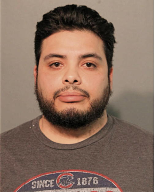 CARLOS L FLORES, Cook County, Illinois