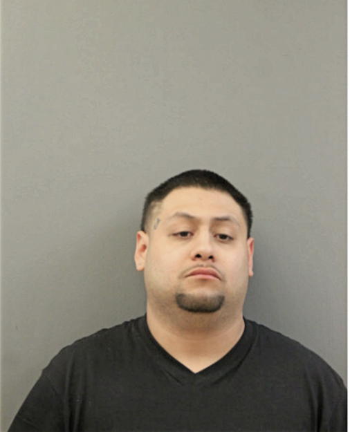 MAX GARCIA, Cook County, Illinois