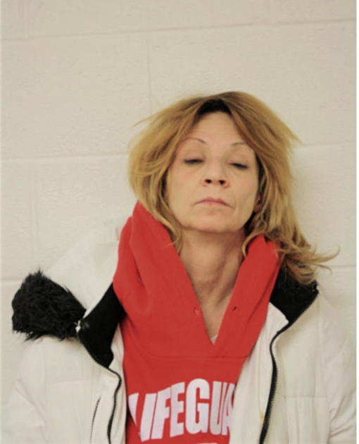 DENISE A GATZ, Cook County, Illinois