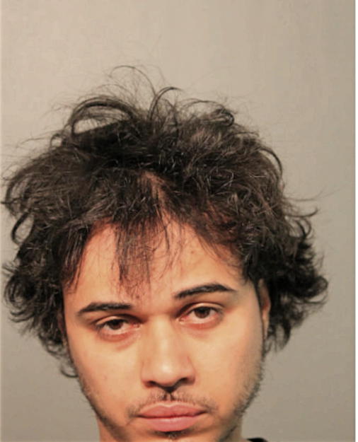 ROBERT T GONZALEZ, Cook County, Illinois