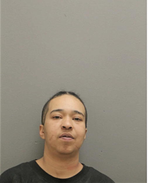 TAMIKA L GRAVES, Cook County, Illinois