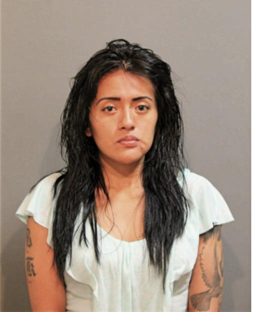TATIANA L HENRIQUEZ, Cook County, Illinois