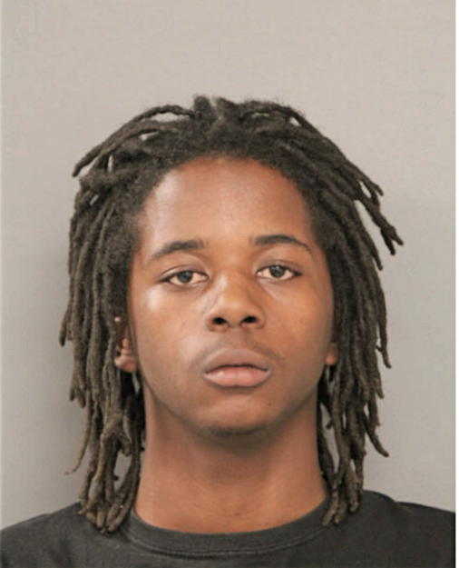 BRIAN K HOLMES, Cook County, Illinois