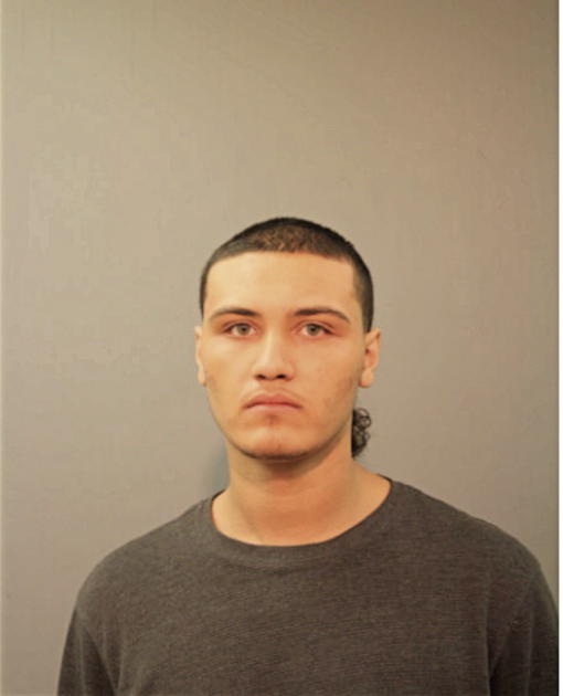MICHAEL JOHNSON, Cook County, Illinois