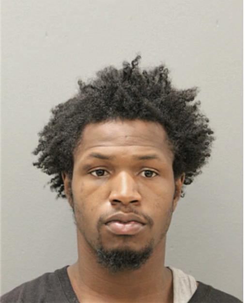 DOMINIQUE T LOWE, Cook County, Illinois