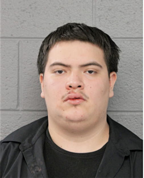 DAVID O LOZANO, Cook County, Illinois