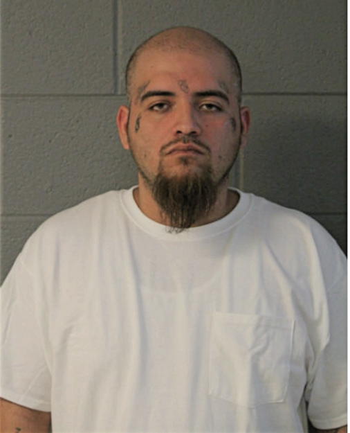 LUIS C MEDELLIN, Cook County, Illinois