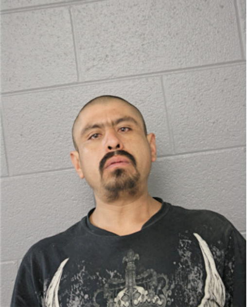 FIDEL MUNOZ, Cook County, Illinois